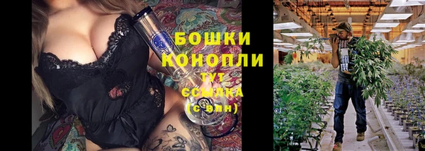 крисы Армянск