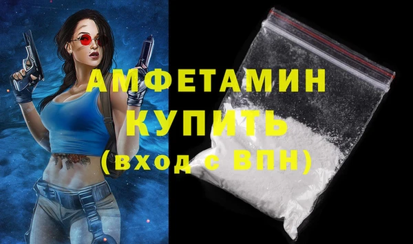 крисы Армянск