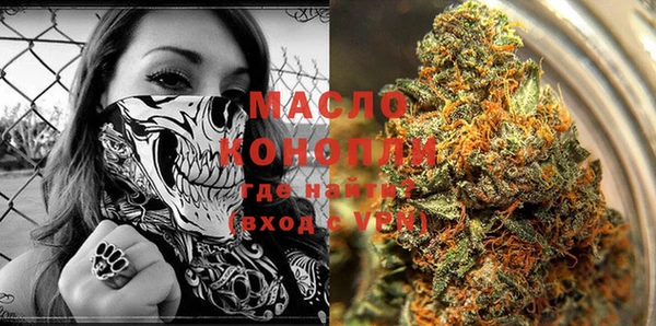 крисы Армянск