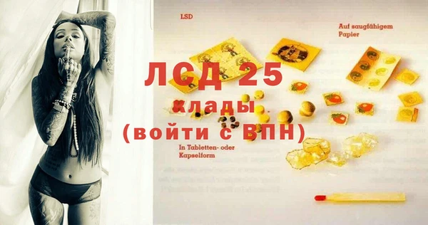 тгк Сатка