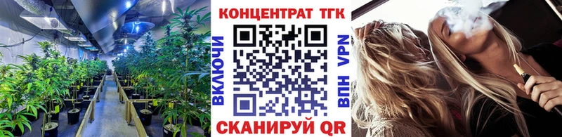 продажа наркотиков  Талица  Дистиллят ТГК гашишное масло 