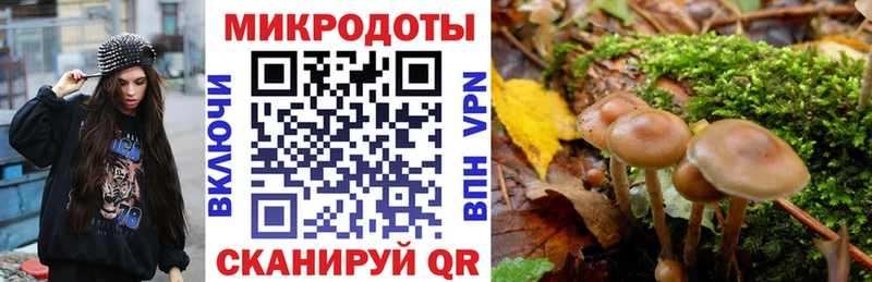 купить наркоту Талица ОМГ ОМГ ссылки Галлюциногенные грибы Psilocybine cubensis